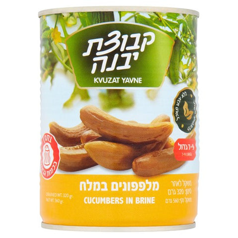 Kvuzat Yavne Cucumbers in Brine 7-9 560g (Pack of 2)
